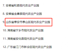 第二批国家现代农业产业园认定名单公示 泰山区现代农业产业园上榜