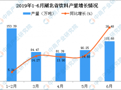 2019年上半年湖北省饮料产量为558.16万吨 同比增长21.76%