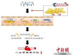 中国学者研究新发现：鱼油可保护PM2.5导致的心血管健康损伤