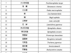 农业农村部：牛蛙、部分龟鳖按水生物种管理，不禁食