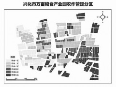 足不出户 “天眼地网”判苗情