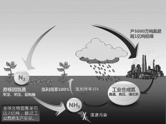 替代氮肥：生物固氮有了路线图