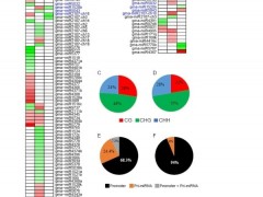 中国科学院东北地理所等在DNA甲基化参与调控大豆与大豆胞囊线虫互作的表观遗传研究中取得进展