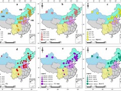 中国农业科学院作物科学研究所揭示生物量和收获指数对玉米产量提高的贡献率