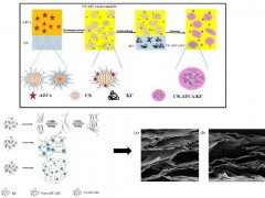 南京林业大学黄梅桂副教授在食品科学领域一区TOP期刊《Food Hydrocolloids》发表学术论文