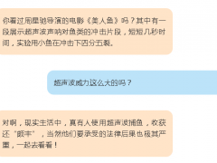 超声波捕鱼四千斤，获刑一年多，赔偿四十万